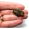 Turritella Agate Medium Crystal Tumbled Stone - 1 Pc