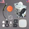 Carburetor + Spark Plug Gasket for Echo PB-2520 Handheld Leaf Blower A021004700