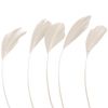 Stripped Coque Diamond Feathers - Long - Cream - Choose Quantity (2 x Cream Stripped Coque)