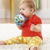 Skip Hop Explore and More Roll Around Toy, Hedgehog