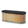 Briggs & Stratton Genuine 496894S Air Filter Cartridge