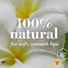 Burts Bees Lippenbalsam, Granatapfel, 4,25 g