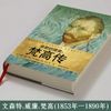 亲爱的提奥：梵高传（世界名人名传典藏系列）
