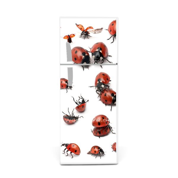 Fridge Stickers Ladybird