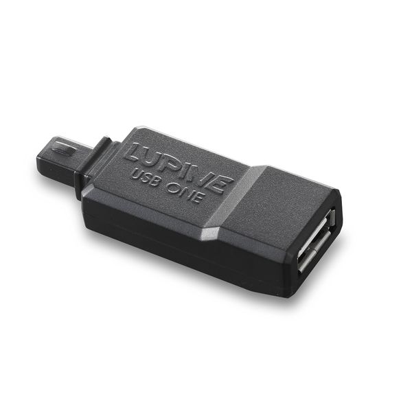 ADATTATORE USB LUPINE