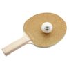 SunnyLIFE S95PPGGL Play On Table Tennis