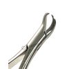 Dental Extracting Forceps Extracting Forceps #23s Lower First Molar, Lower Second Molar Extracting Forceps Dental Instruments…