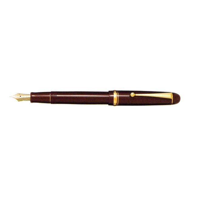 Pilot Custom 74 Fountain Pen, Deep Red EF