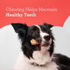DreamBone Vegetable & Chicken Dog Chews, Rawhide Free, Small, 10-Count (DBC-02029)