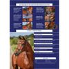 Collegiate ComFiTec Training Bridle, Brown, Pony
