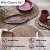 Park Designs Spice Bin Braided Ginger Table Runner 15" x 54"