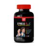 stress less in life - STRESS SUPPORT FORMULA - promoting immune support 1 BOTTLE