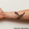 Large 'Bald Eagle' Temporary Tattoo (TO00034062)