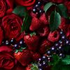 Molton Brown Rosa Absolute Body Lotion