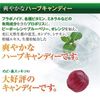 High Concentration Propolis Candy, Throat Candy, 30 Packets per Bag, Blueberry Candy, Non-Sugar, Individually Packaged
