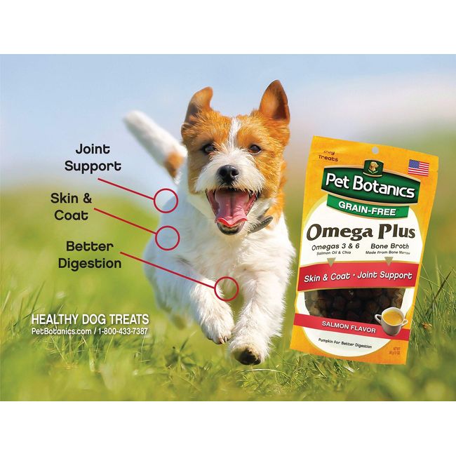 Pet Botanics Healthy Omega Salmon Plus For Dogs 12 Oz