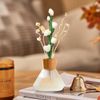 abiducns Reed Diffuser Sticks,Reed Diffuser Sticks Flowers,Reed Diffusers for Home,Bathroom Diffuser,Diffuser Set with Sticks,Natural Flower,White/Green