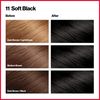 Revlon ColorSilk Beautiful Color, Soft Black