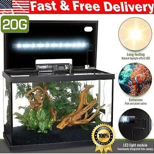 20 Gallon Fish Tank LED Light Hatchery Glass Aquatic Pet Supplies Aquarium Kit