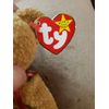 Curly the Bear - Ty Beanie Baby