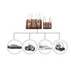Standard & Mini Size Blade Fuses Assortment Kit Car Fuses Replacement Set 2A-40A