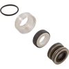 All Seals Replacement PS2172B Mechanical Pump Seal AS-073