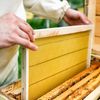 sourcing map 20Pcs Plastic Beehive Frame Spacers, Beehive Frame Spacing Tool for Beekeeper, White