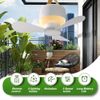 3 Speed Portable Ceiling LED Fan Rechargeable Battery Powered Outdoor Camping