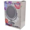 Double Sided Stand Mirror Flat Mirror (X X Regular, etc.) ONE SIDE Magnifying Mirror (10 X Magnifying) AF – 2 