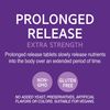 21st Century Melatonin 10 Mg Prolonged Release, 120 Count