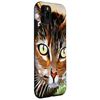 The Curious Tabby Cat Acrylic Painting Design Case for iPhone 11 Pro