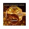 Garnier Honey Treasures Shampoo & Conditioner Set