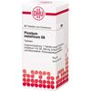 PLUMBUM METALLICUM D 6 Tablets Pack of 80