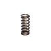 COMP Cams (975-1) .953" O.D. Single Inner Valve Spring