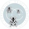 Craft Consortium - Faeries - Photopolymer A6 Stamp Set - Ladybird