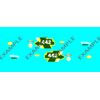 1/64 'Flat Out 442' Green Replica Decal SCR-0309