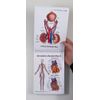 Female Anatomy (Flip Chart)