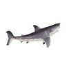 Great White Shark