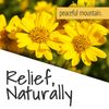 Peaceful Mountain Arnica Plus Homeopathic Gel - Natural Homeopthic Gel for Sore or cramping Muscles - 2oz