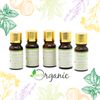 Belle Aroma 10 ml Organic Peppermint Essential Oil