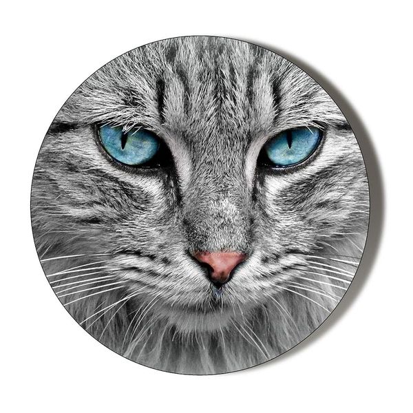 Grey CAT FACE Small 6 x 70mm Vinyl Stickers