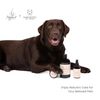 Agave Pet 2 in 1 Purple Shampoo & Conditioner 475 ml