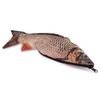 008 Pencil Case School Student’s Etui , Fish