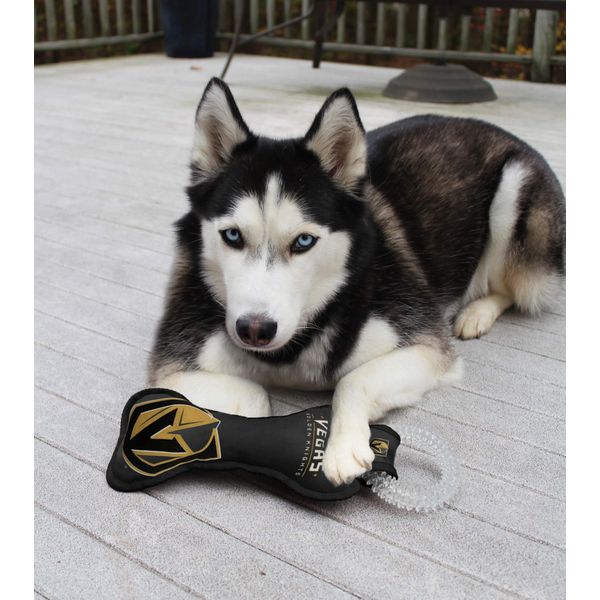 Pets First NHL LAS Vegas Golden Knights Dental Dog TUG Toy with Squeaker. Tough PET Toy for Healthy Fun, Teething & Cleaning Pet's Teeth & Gum., one Size (LVK-3310)