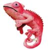 Chameleon Plush A – Show Leo The Pink 6294 – P