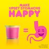 Pepto Bismol Liquid, 12 Fl Oz