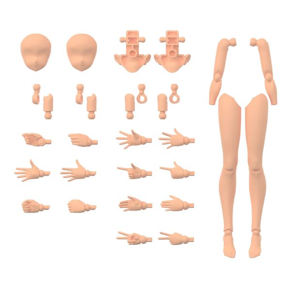 30MS Optional Body Parts, Arm & Leg Parts, Color C, Color Coded Plastic Model