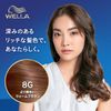 Wellaton 2+1 Liquid Type Hair Dye (Non-Pharmaceutical)