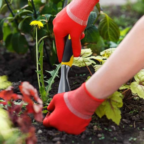 SVUPUE Stainless Steel Weeder 29 cm Root Weeder Stainless Steel Garden Hand Weeder Hand Weeder Garden Manual Weeder Planting and Weeding Tool
