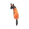 Midlee Orange Prisoner Halloween Dog Costume (X-Large)